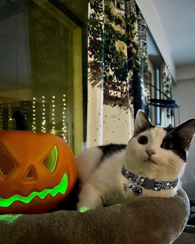 Cat Collar Halloween Set of 2, Skull Cat Collar for Small Dogs, Holiday Kitten Collar with Bell