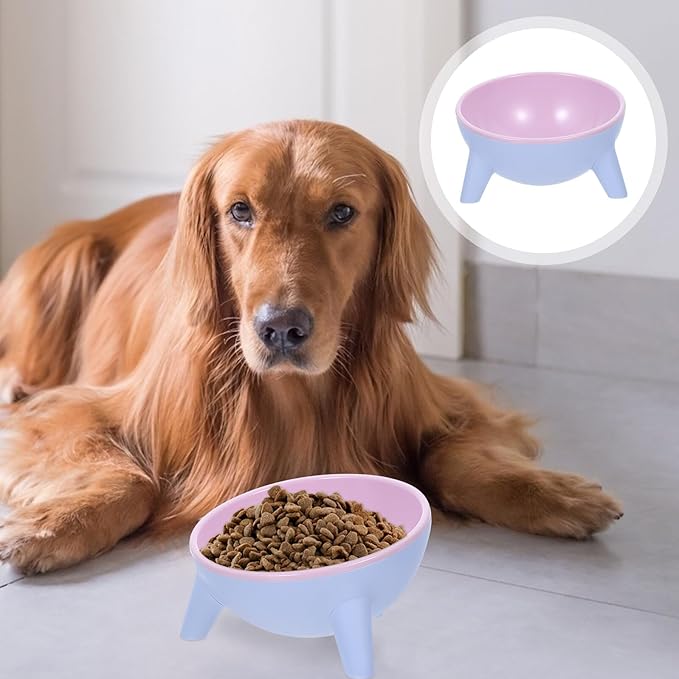 VICASKY Stable Double Pet Bowl Raised Cat Feeder with Anti-Slip Plastic Bowls 15° Tilted Design for Indoor Cats and Dogs, Spill-Resistant Feeding and Watering Station in Cherry Blossom
