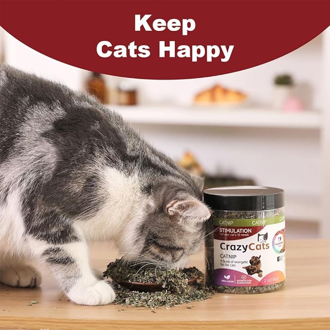 100% Natural Catnip and Pure Catnip for Your Furry Friend Taste Funny Cat Toy New Cat Toy Interactive Cat Toys Pet Supplies