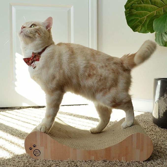 Necoichi Cardboard Cat Scratcher Bed for Indoor Cats - Cat Scratching Board, Horizontal Cat Scratch Pad Lounger with Reversible Usability and Extra Comfort for Lounge, Curved (18" Regular, Oak)