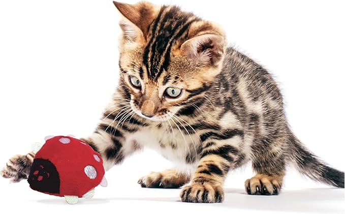Pounce & Purr® Plush Cat Toys, Catnip & Silvervine Infused, Shiny Iridescent Accents, Interactive Play Toys for Cats & Kittens (Ladybug)