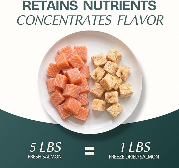 Freeze Dried Salmon Cubes Cat & Dog Treats for Training, Healthy High Protein Limited Single Ingredient Pet Food Snacks for Small, Medium, and Large Dogs Cats (Raw Salmon Cubes, 10oz)