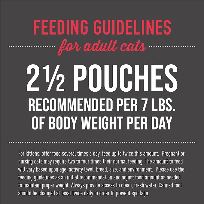 Tiki Cat Aloha Friends Wet Cat Food, Chicken, Pumpkin & Beef, 2.5 oz. Pouch (12 Count)