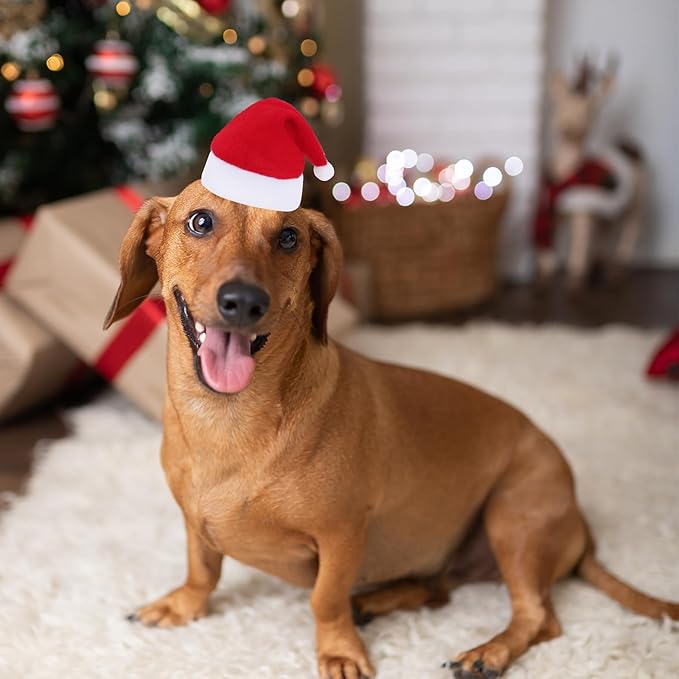Jmkcoz 6 Pieces Pet Cat Dog Christmas Santa Hat Holiday Party Cute Costumes for Puppy Kitten Christmas Cosplay Dress Up Supplies (Mixed Pattern)