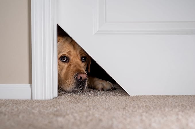 Kitty Korner Cat Door (Righthand Kit) The Original and Patented - Kitty Korner Slidelock Hinge Designed to Work for Interior Doors. Don't be Fooled by The imitators