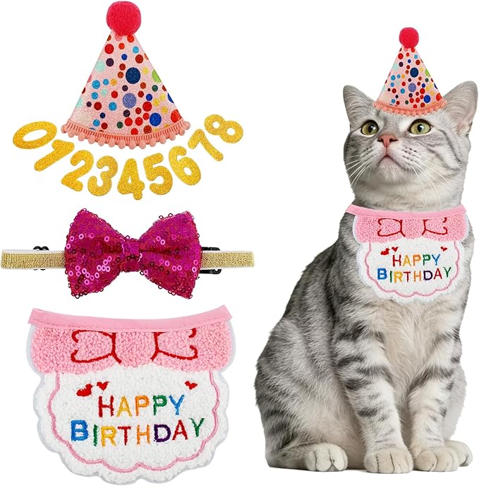 4PCS Pink Cat Birthday Party Supplies for Girls Kitten Bandana Hat Number Decorations Pet Birthday Outfit Kit