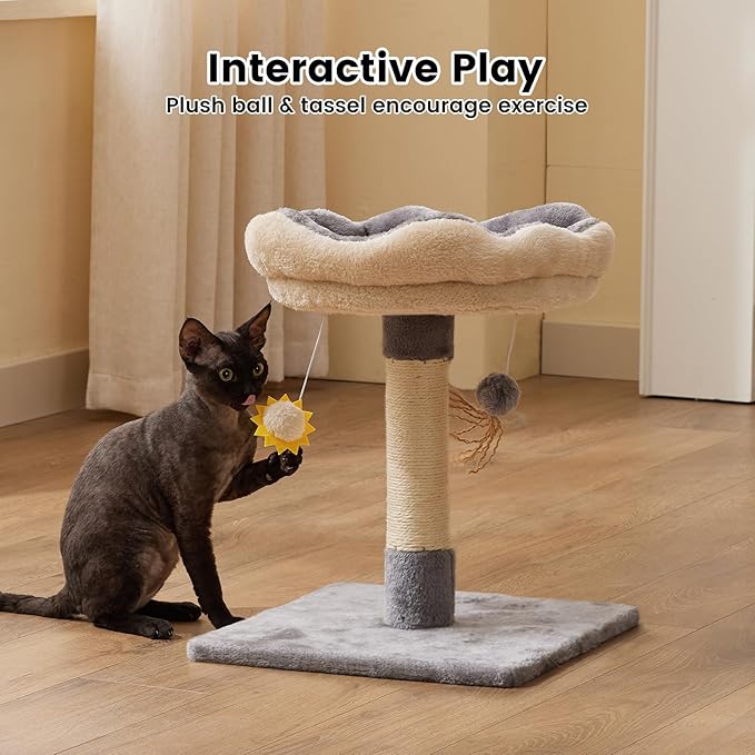 Gardner Pet 20" Cat Tree, Solid Wood Small Cat Tree, Compact Cat Tower Perch for Kittens (Grey, Circle)