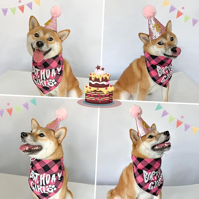 LESYPET Dog Birthday Party Supplies, Dog Birthday Hat with Bandana, and Banner, Cat Decorations Set for Party, Pink