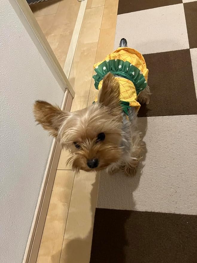 Funny Dog Swimwear Bikini Summer Dog Clothes Beach Swimsuit Puppy Bathing Suit Puppy Vest Cooling Pet Shirt for Small Dogs, Cat Apparel (X-Large, Yellow Pineapple)