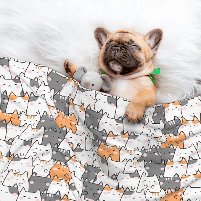 Pet Blanket,Warming Ultra Soft Warming Mat for Indoor Pet Beds & Furniture Reversible Blanket Machine Washable 27.6 * 19.7Inch,Cute Animals Pattern