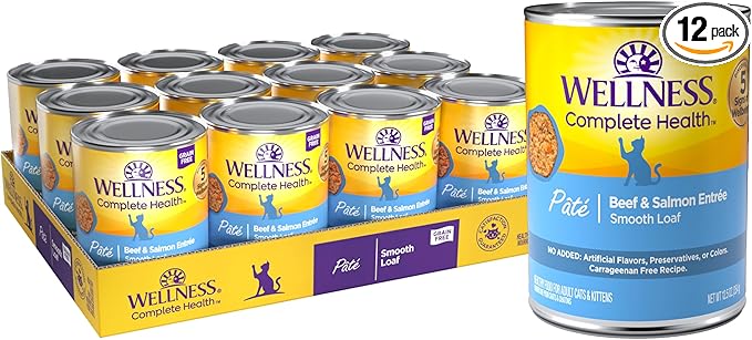 Wellness Complete Health Pate Adult Canned Wet Cat Food, Natural, Protein Rich, Grain Free, Beef and Salmon Entrée Recipe, 12.5 oz, Pack of 12 Cans