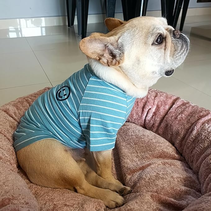 Blue Striped Matching Dog and Owner Clothes, Cotton Pet and Owner Coordinating Outfit with Embroidered Smiley Face Separately Sold,Family Matching Pajamas for Dogs Puppies (Pet 4XL)