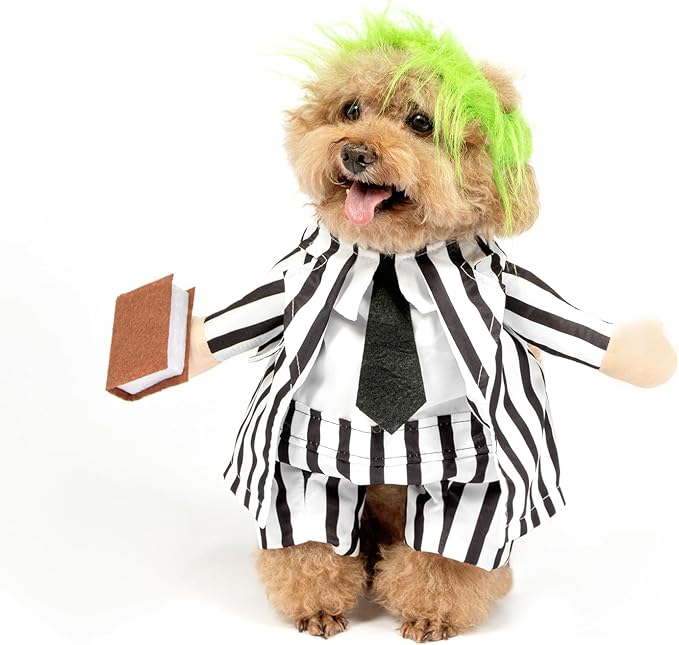 DELIFUR Dog Halloween Funny Costume - Pet Adorable Fantacy Clothes Cat Cosplay Apparel Dress Up for Small Medium Dog Funny Outfit Adjustable (Suit, Medium)