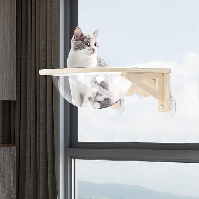 Clear Cat House, Wall-Mounted Wooden Cat Space Capsule Cat Bed Kitten Walls Shelves for Sleeping Playing Climbing and Lounging, Easily Holds Up to 16.5 Lbs, Cat Furniture for Indoor
