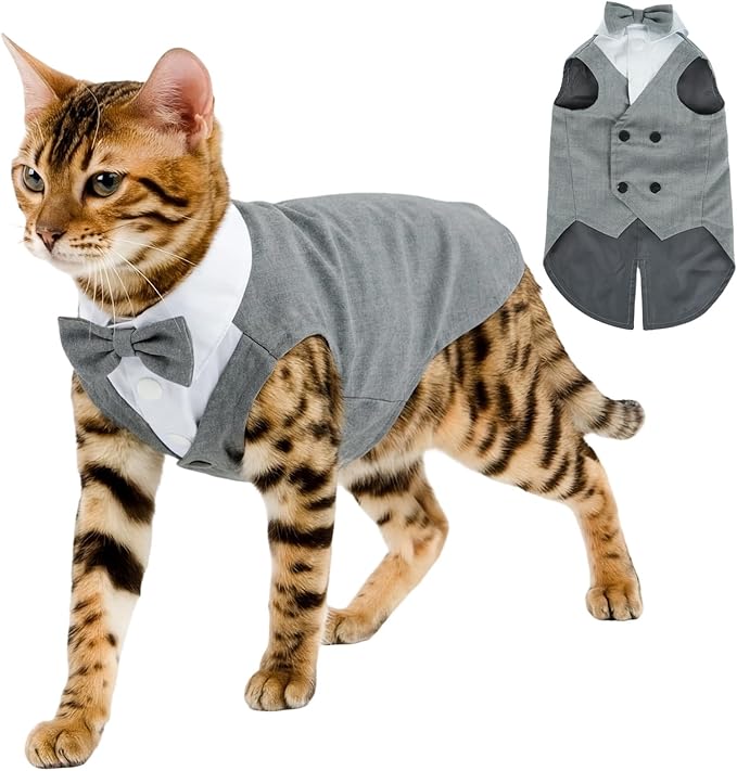 QBLEEV Cat Tuxedo Outfit, Sphynx Cat Costume for Cats Only, Formal Kitten Clothes Attire Suit with Bow Tie, Stylish Birthday Wedding Party Photo Shoots Costume for Male Female Cats, S, Grey