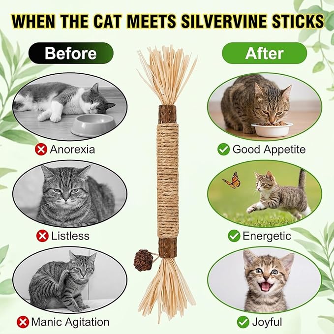 Qtip Cat Toy, Giant Qtip Cat Toy, 9 Pcs with Cotton Swab Design, Interactive Play for Indoor Cats and Kittens, Dental Teething Support and Catnip Entertainment