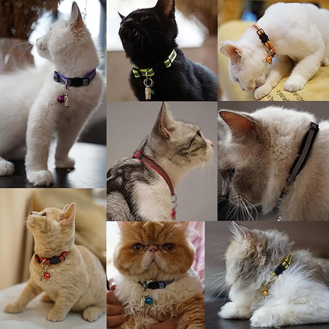 Extodry 14 Pack Set Kitten Collars Breakaway with Bells,Reflective Safety Cat Collar,Ideal for Puppy, Girl Boy Cats,with Name Tag,Adjustable for Small Animal,Pet Supplies(12 Colors & 2 ID Tags)