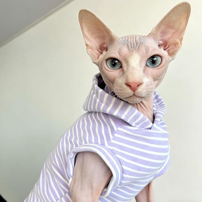 Sphynx Cat Clothes for Cats Only,Classic Striped Hairless Sphinx Cat Clothes Hoodie Shirts, Soft Kitten Sweater Pets Apparel Outfits for Devon Rex, Cornish Rex, Peterbald,Purple,2XL