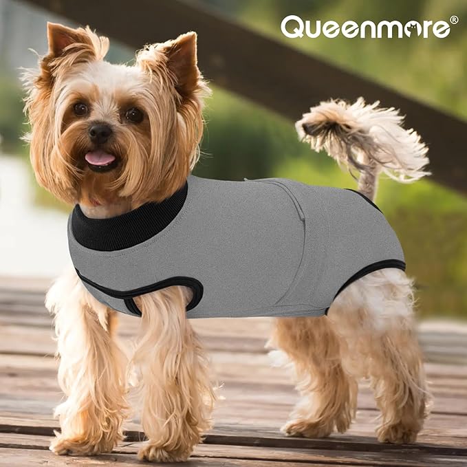 Queenmore Recovery Suit for Dogs Cats After Surgery,Dog Surgical Recovery Suit Onesie,Anti Licking Pet Female Post-Operative Spayed Neutered Puppy Surgical Clothes for Abdominal Wounds, Grey
