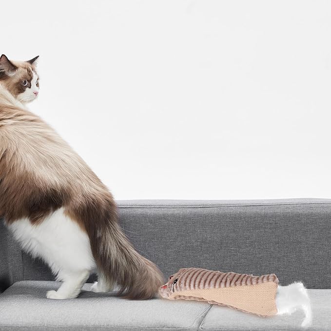 HOMSFOU Plush Catnip with Crinkle Paper for Cats Interactive Teething Chew for Kittens Gray Cartoon Cat Design for Play and Exercise