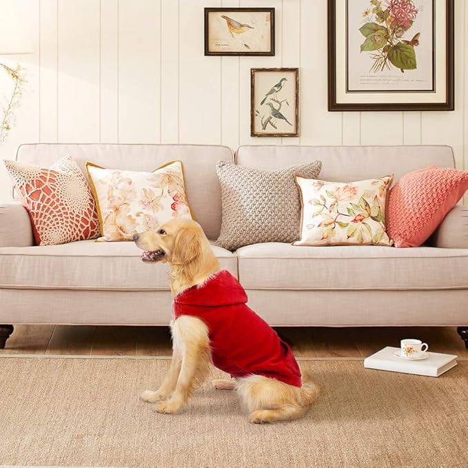 EXPAWLORER Dog Hoodie Fleece Sweater Vest, Hooded Dog Sweatshirt Fall Winter Pet Clothes with Leash Hole, Sleeveless Warm Cozy Puppy Clothing for Cat Small Medium Large Dogs Girl Boy, Red L