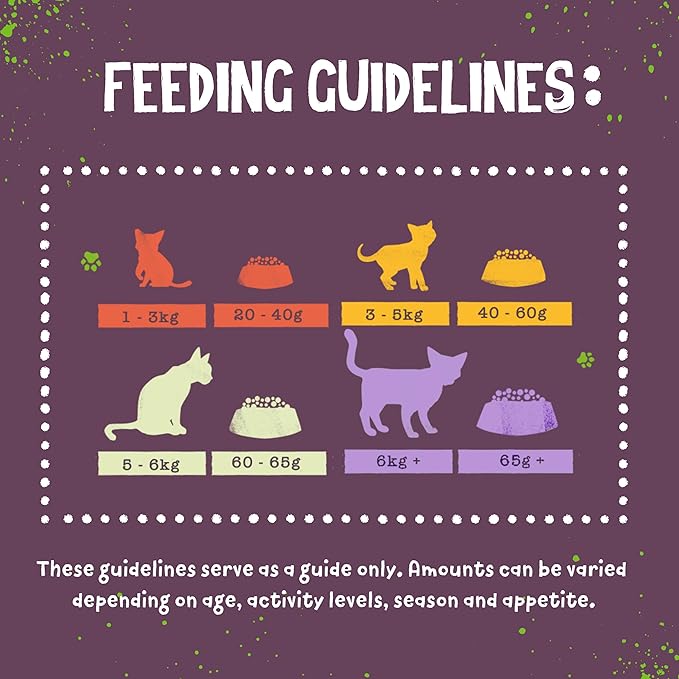 Benevo Vegan cat Food for Adult Cats 2kg. Holistic, Meat-Free, Complete, Non-gm Dry Food Kibble for Your cat. Award Winning Vegan pet Food Made in the UK.