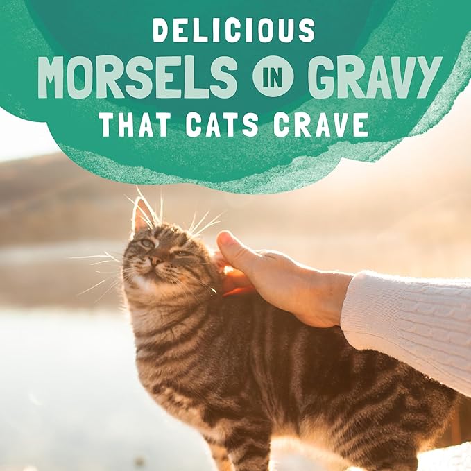 Natural Balance Original Ultra Platefulls Adult Grain-Free Wet Cat Food, Chicken & Pumpkin Recipe, 3 Ounce Pouch (Pack of 24)