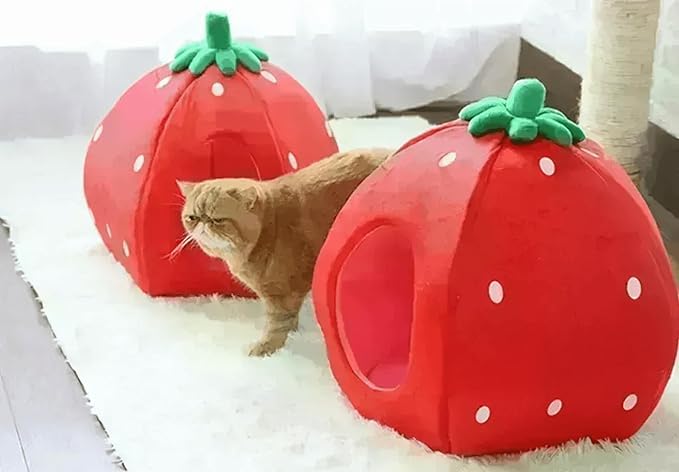 YML Strawberry Pet Bed House, Small, Red (FH016_1)