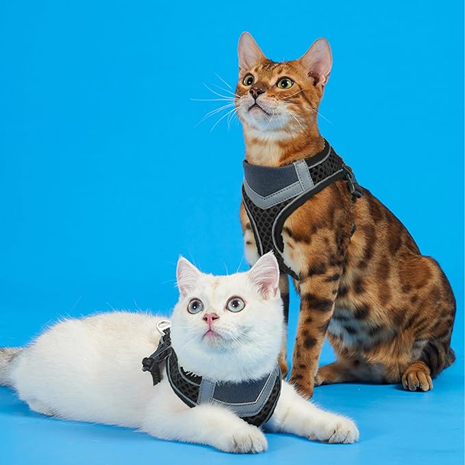 Cat Harness and Leash Set for Comfortable Outdoor Walking, Escape Proof, Adjustable Soft Kitten Vest Harness with Reflective Strip for Cats, Small Dogs (Black, M)