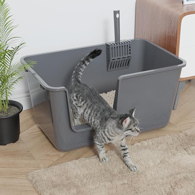 Open Cat Litter Box, Large Standard Litter Box, Kitten Litter Potty Pan for Small & Large Cats, Easy to Clean, Low Entry, 4 Units, Grey