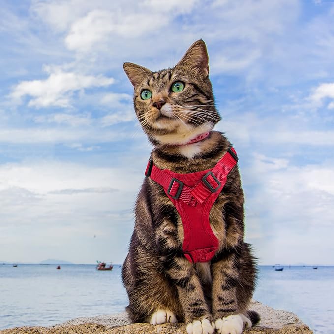 AIWAI Tactical Cat Harness for Walking Escape Proof, Adjustable Pet Vest Harness with Control Handle for Large Cat Small Dog, Soft Mesh, Gift with Patch