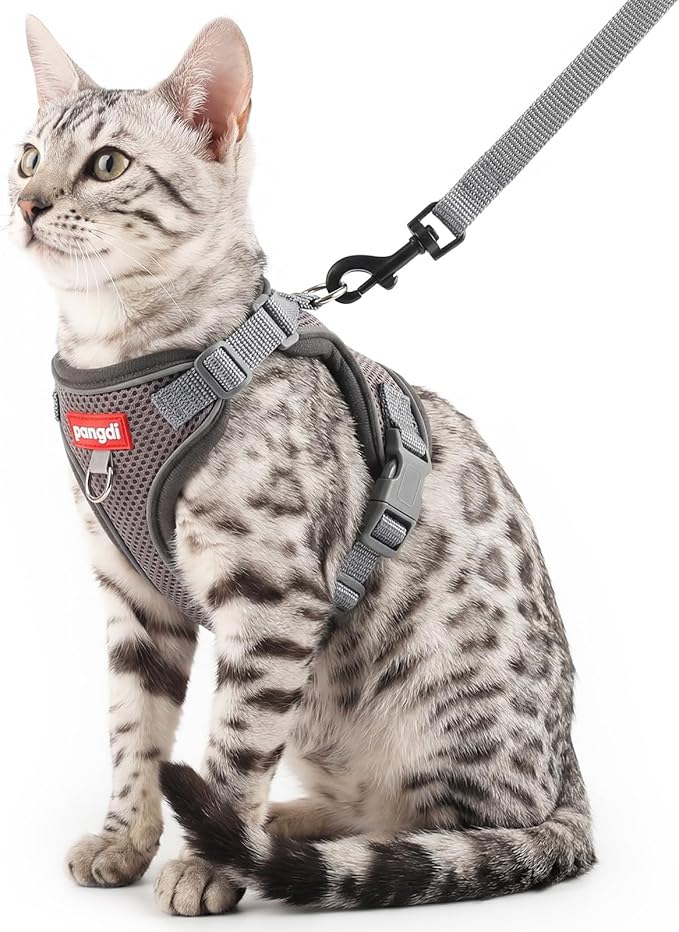 Cat Harness and Leash Kitten Harness Escape Proof Lightweight Breathable Mesh Cat Leash for Walking Travel, Grey, X-Large