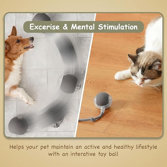 Smart Ball 2.0 - Automatic Cat Toy & Interactive Dog Toys for Small Dogs - Moving Cat Toy Ball for Indoor Cats - Motion Activated, Light Up, USB-C Rechargeable Pet Toy, 2 Speed Modes [Gray]