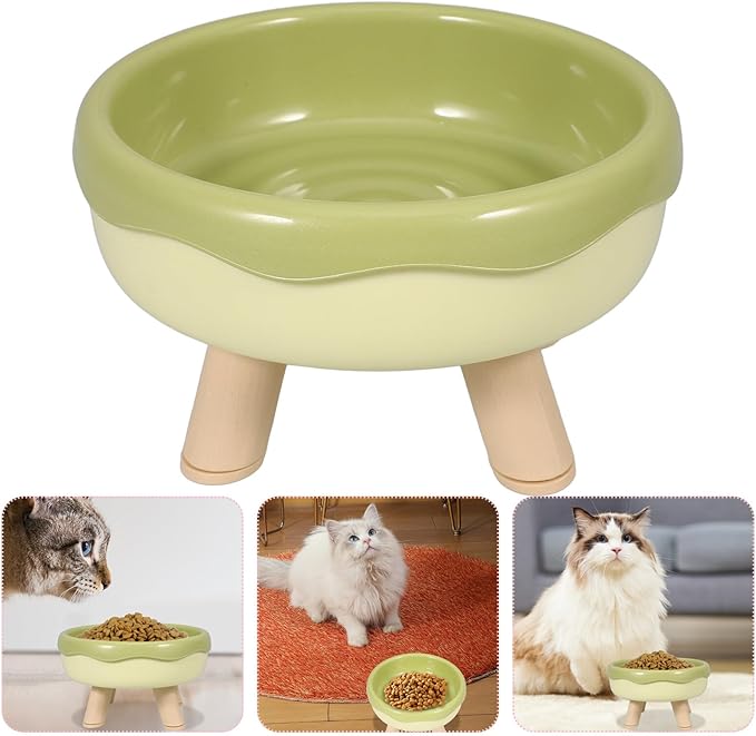 VICASKY Raised Cat Bowl and Elevated Kitten Food Dish with Neck Protection, Tilted Design in Grass Green, Anti-Vomit Pet Feeding and Watering Bowl for Cats and Kittens