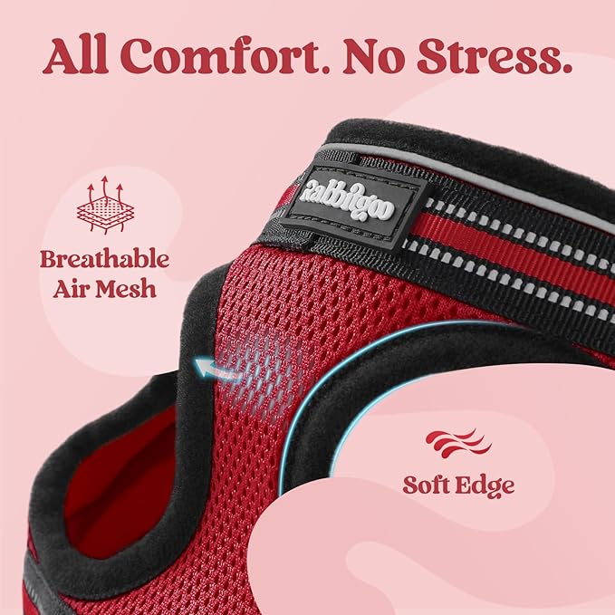 rabbitgoo Cat Harness and Leash Set for Walking Escape Proof, Adjustable Soft Kittens Vest with Reflective Strip for Cats, Comfortable Outdoor Vest, Red, S