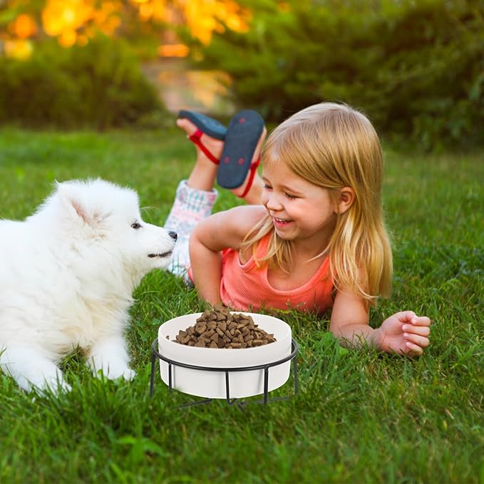 Elevated Cat Food Bowl with Metal Stand, 400ml Ceramic Raised Pet Feeder for Cats and Small Dogs, Non-Slip White Bowl with Black Iron Frame, Suitable for Feeding and Watering