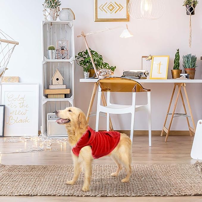 EXPAWLORER Dog Hoodie Fleece Sweater Vest, Hooded Dog Sweatshirt Fall Winter Pet Clothes with Leash Hole, Sleeveless Warm Cozy Puppy Clothing for Cat Small Medium Large Dogs Girl Boy, Red L
