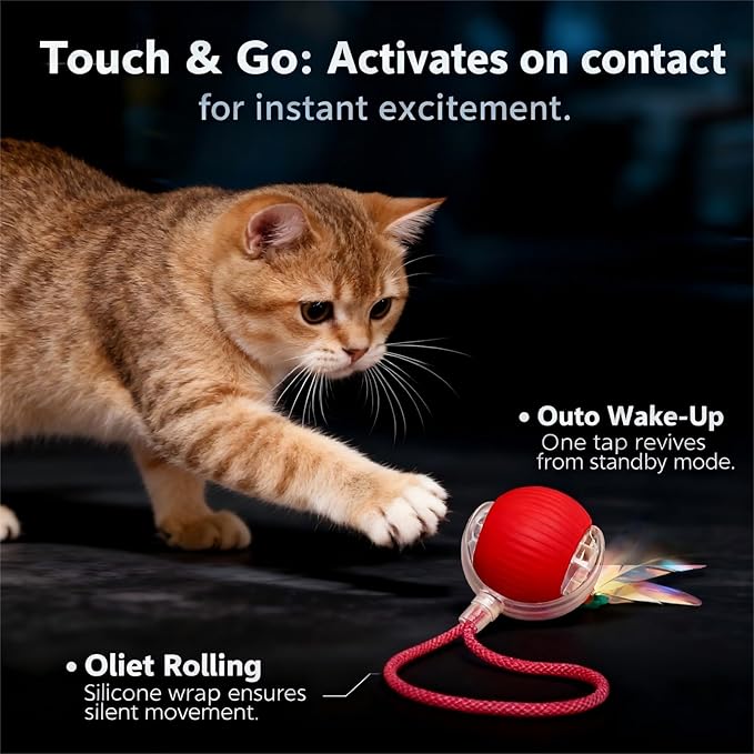 JBD Smart Cat Toy Ball for Indoor Cats, Automatic Interactive Cat Toy - Auto Rolling Kitten Toys for Boredom Relief, Silent Self Moving Electronic Pet Toy Ball for Exercise, USB Rechargeable