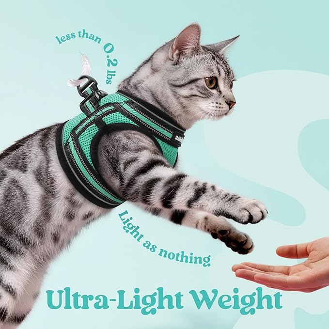 rabbitgoo Cat Harness and Leash Set for Walking Escape Proof, Adjustable Soft Kittens Vest with Reflective Strip for Cats, Comfortable Outdoor Vest,Green,M
