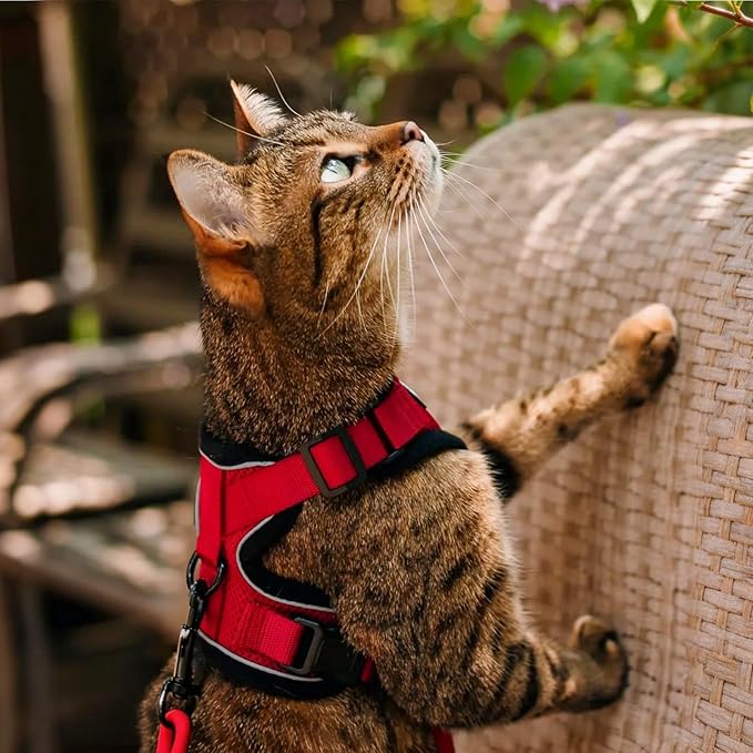 rabbitgoo Cat Harness and Leash for Walking, Escape Proof Soft Adjustable Vest Harnesses for Cats, Easy Control Breathable Reflective Strips Jacket, Red, S