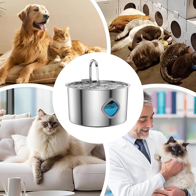 Cat Water Fountain Stainless Steel | 3.2L Cat Fountains for Drinking,Automatic Waterer Pet Feeding Bowl for Small Medium Large Breed Dog Puppy Kitten Drinking Watering Indoor