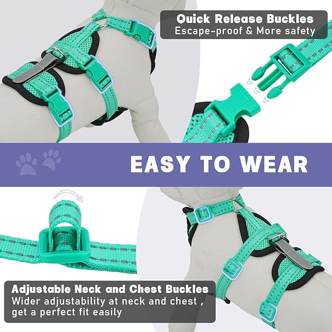 Cat Harness for Walking, Escape Proof Cat Harness and Leash Set with Reflective Strip, Adjustable Cat Leash Breathable Soft Vest for Small to Large Cats, Green, M