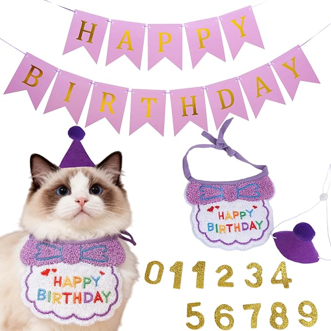 Lasflores Purple Girl Cat Birthday Supplies Set - Kitten Hat, Number Decor & Happy Birthday Banner Outfits