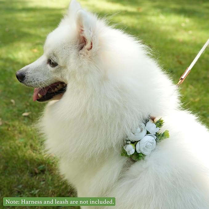 Pet Collar Flower Dog Wedding Flower Bow Tie Removable Floral Accessory for Dog Collar Elegant Rose Charm for Wedding Ceremony Puppies Cats Grooming, Pet Photo Prop (White)