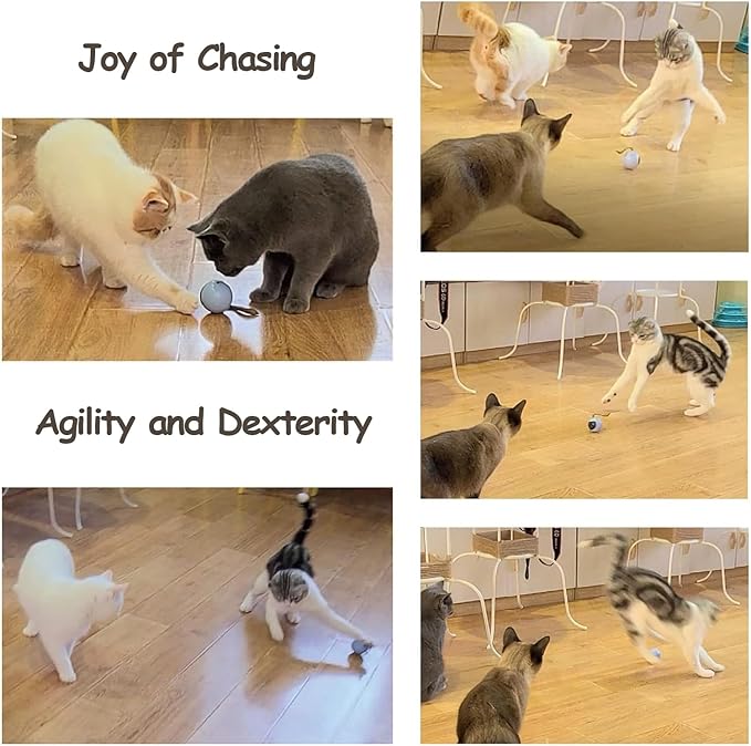 Migipaws 2-in-1 Interactive Cat Toy Ball – Paw Friendly Kicking Chasing Ball with Bonus Fluffy Tail for Indoor Cats Random Rolling Auto Escape Corners Tangle-Free Quiet USB Rechargeable (Rose)