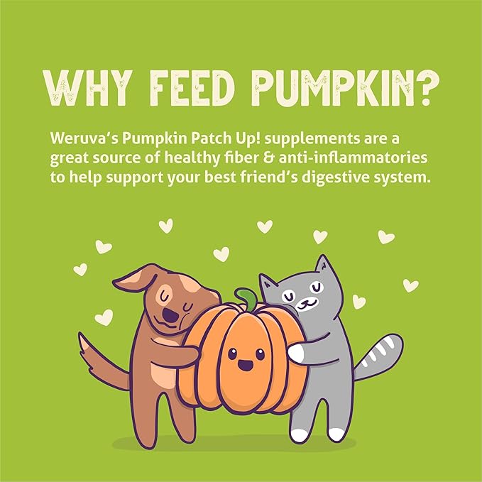 Weruva Pumpkin Patch Up! Pumpkin Pumpkin, What's Your Function? Variety Pack for Dogs & Cats, 2.8oz Pouch (Pack of 12)