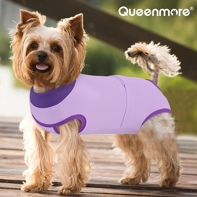 Queenmore Recovery Suit for Dogs, Dog Surgical Recovery Suit Onesie,Anti Licking Pet Female Spayed Neutered Puppy Surgical Clothes for Abdominal Wounds, Substitute E-Collar & Cone, Purple,L