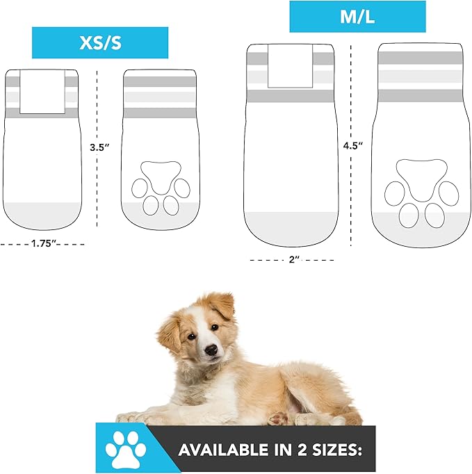 NCAA Texas Longhorns Anti Slip Dog Socks with Elastic Ribbed Top, Size X-Small/Small. Indoor/Outdoor Socks, Best Dog Paw Protector, 2 Pairs of Pet Socks with Your Favorite Collegiate Sports Team