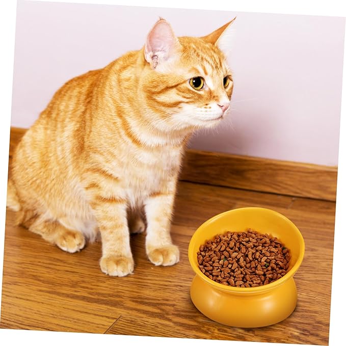 ibasenice Elevated Ceramic Cat Bowl Stylish Design for Pet Feeding and Watering Comfortable Height for Easy Access Versatile Use for Cats and Dogs