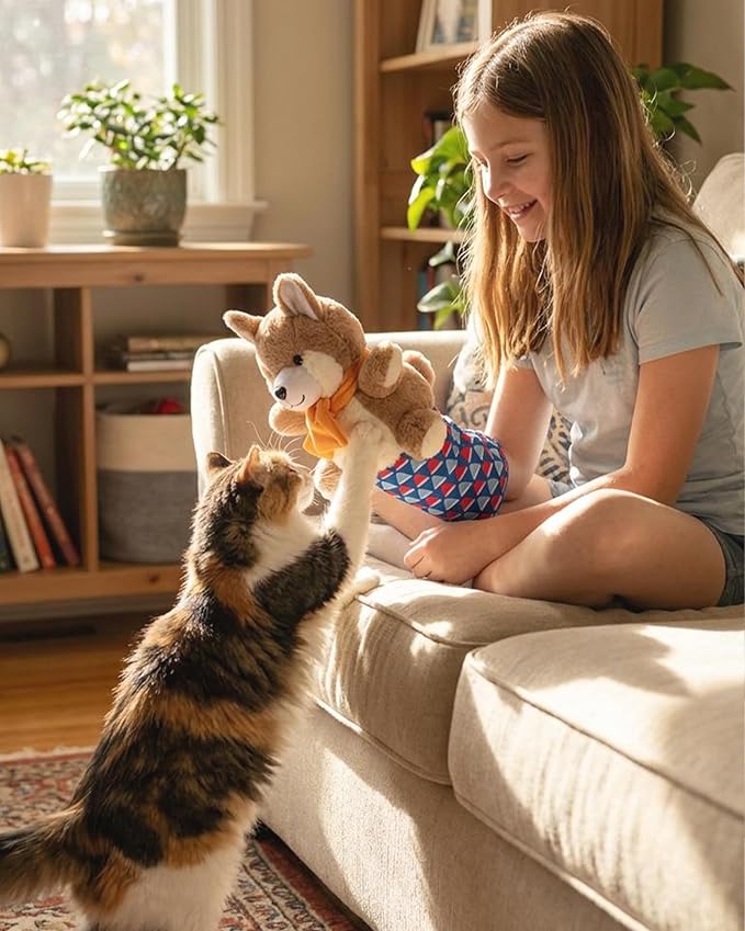 Cat Wrestling Glove Toy | Karate Kitty Puppet with Built-in Catnip - Interactive Karate Kitty Cat Toy Puppet for Safe Play, Exercise & Bonding with Cats